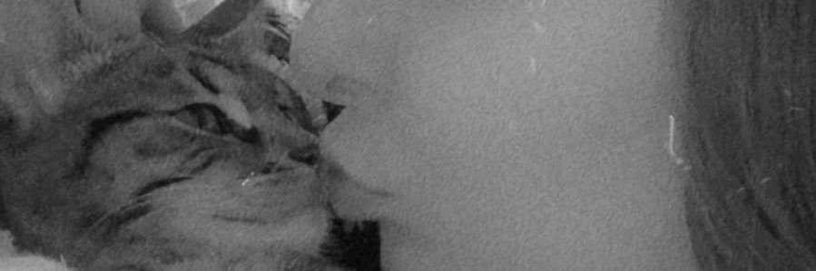 maevaadt's profile banner image