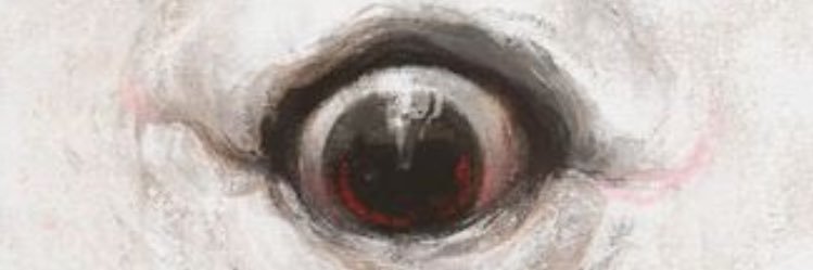 Stelleo Stellei banner