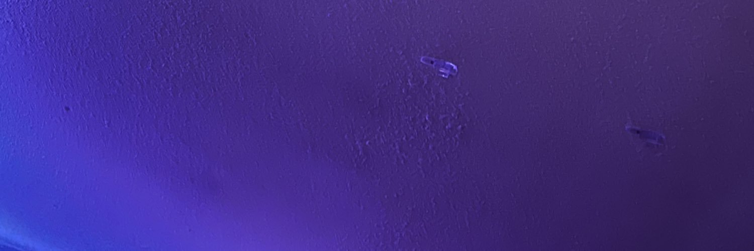 FShamiji's profile banner image