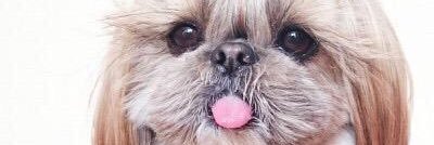 daddy_bby's profile banner image