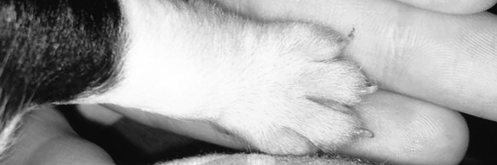 hju11's profile banner image