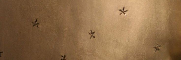 aeenso's profile banner image