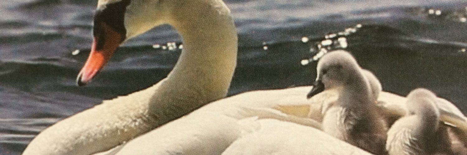 あいむ李景 banner