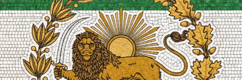 Shary 🇺🇸 banner