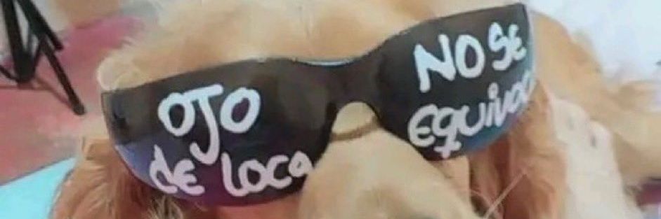 sofiavazquez11's profile banner image