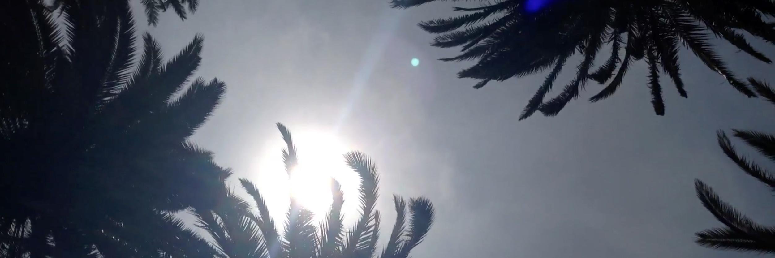 MAUINEWYORK's profile banner image