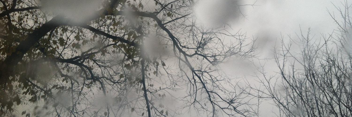 KristenSabol's profile banner image