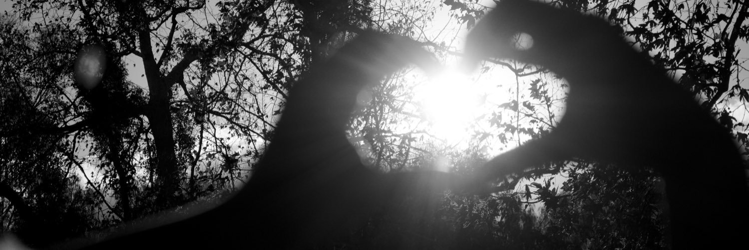 bagelynch's profile banner image