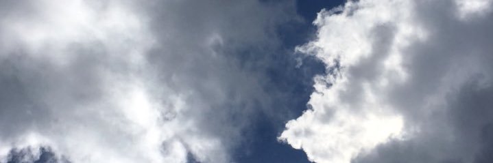 Fossilsinmypockets banner