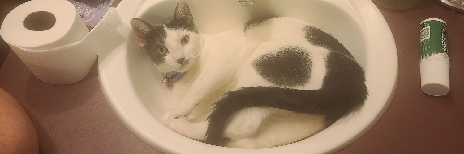 nekohines's profile banner image