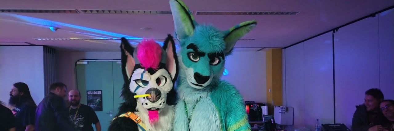 TechRoo - That australian bouncy boy banner