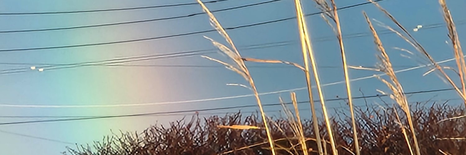 anniebammy1's profile banner image