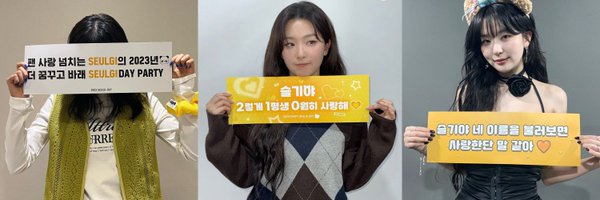DC_SEULGI Profile Banner