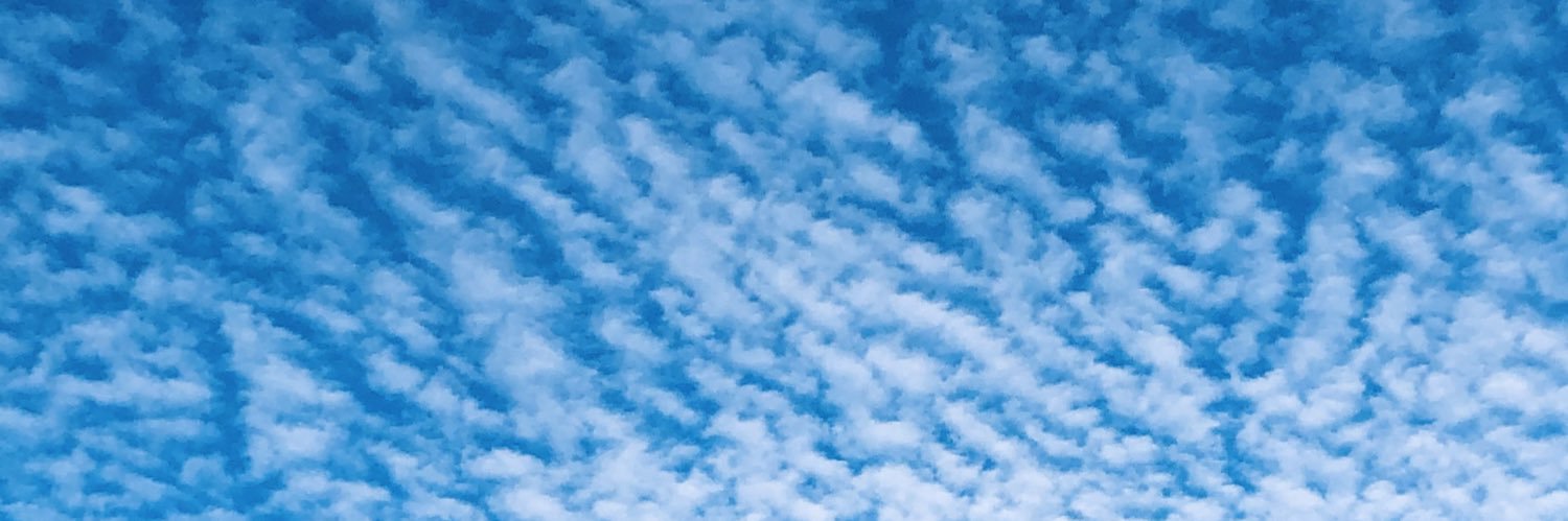 CourtesyCurti5's profile banner image
