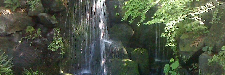 疾風ハンター。 banner