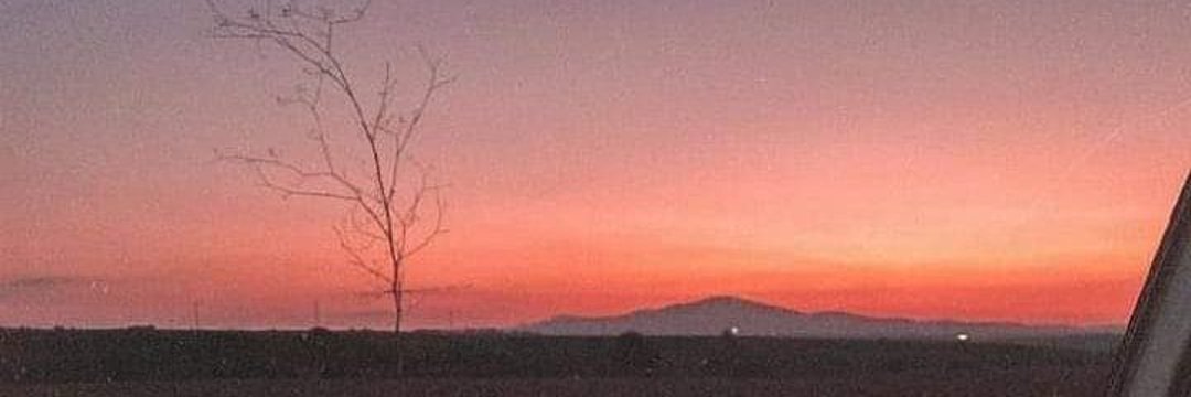 مـحــمـد الـبجيدي banner