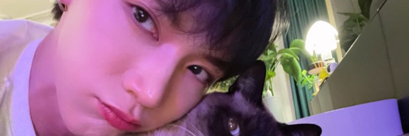 TENRomi 555🐱💕 banner
