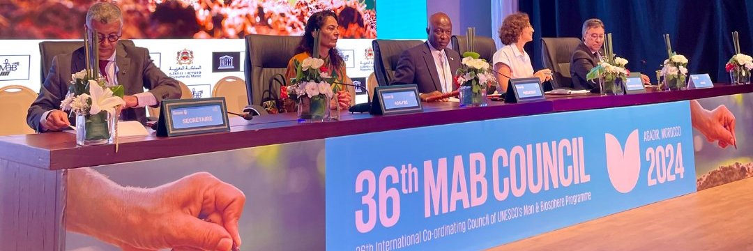 Prof. 'Shola Adepoju banner