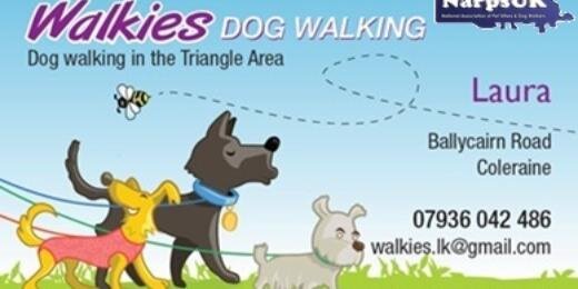 Walkies_NI's profile banner image