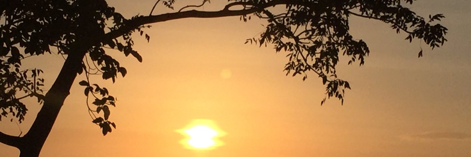 lizapodd's profile banner image