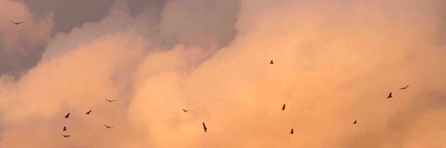 mjchune's profile banner image