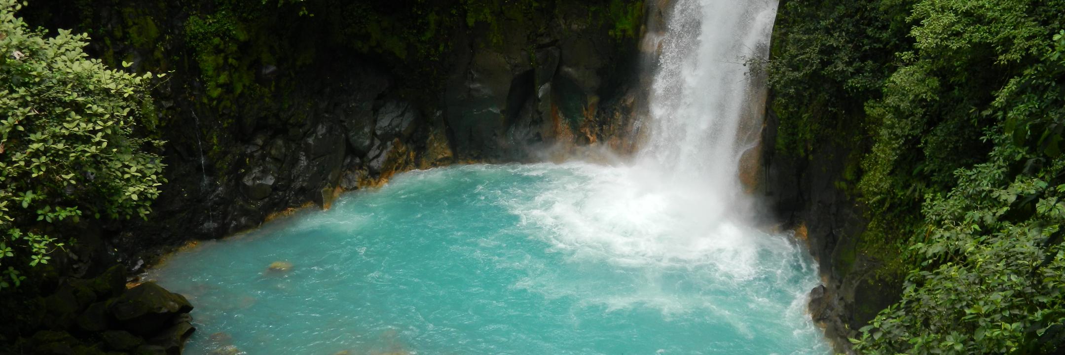 Hugo S.🌻💧 banner