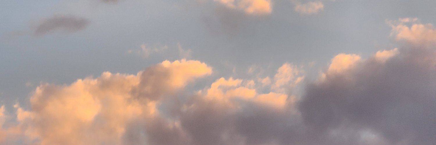 Prismo banner