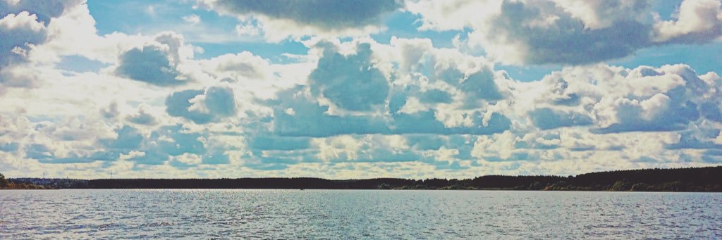 Дмитрий Васильев banner