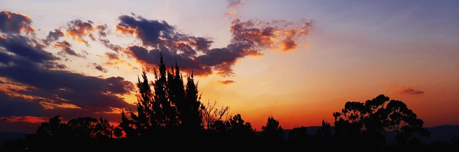 EllieS_23's profile banner image