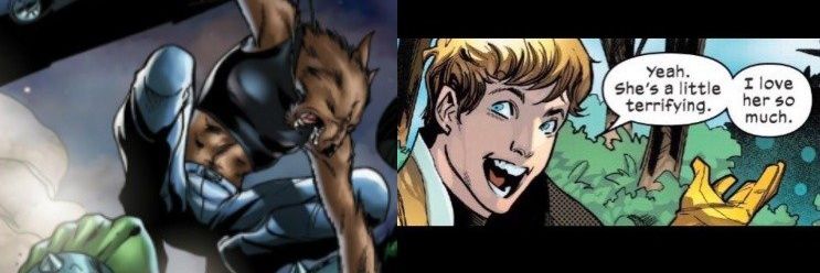 Doctor Kittens 🏳️‍🌈🏳️‍🌈 banner