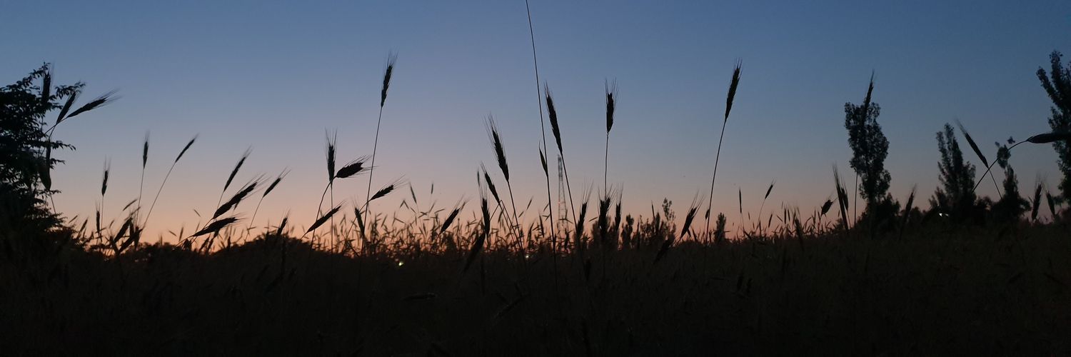 000chaen111's profile banner image