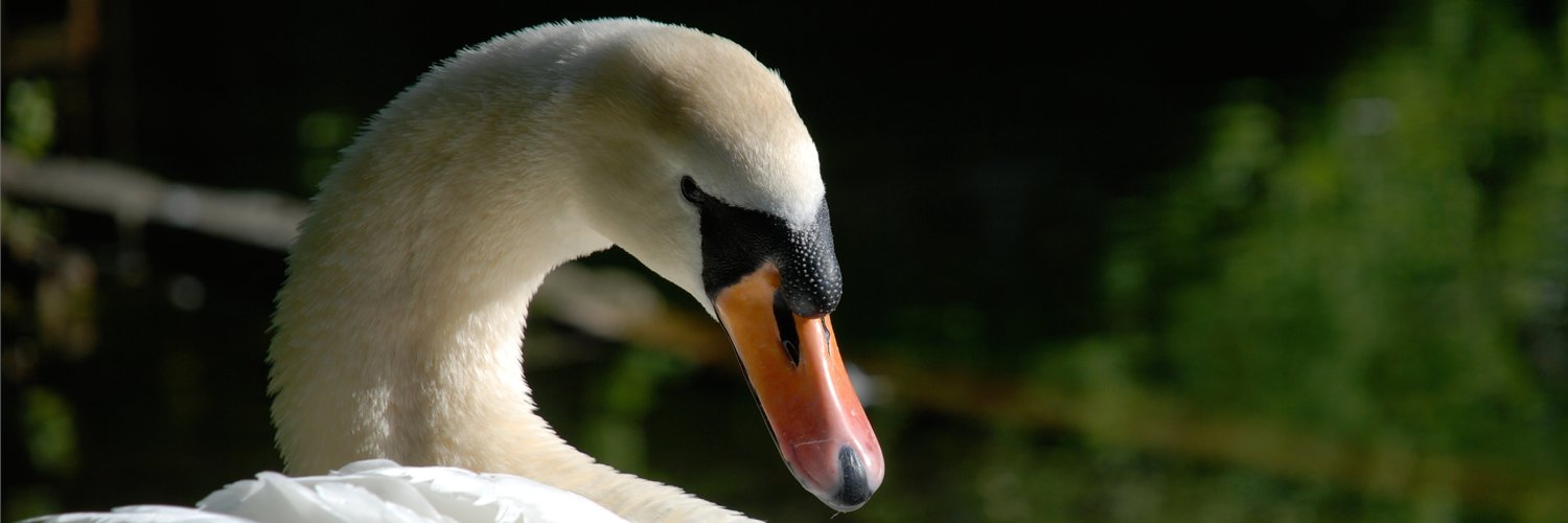 riverpc's profile banner image