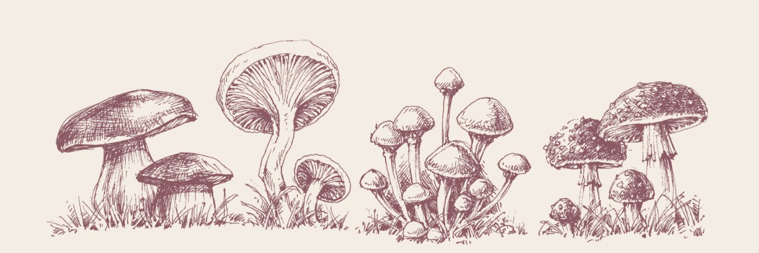 lindsey_donovan's profile banner image