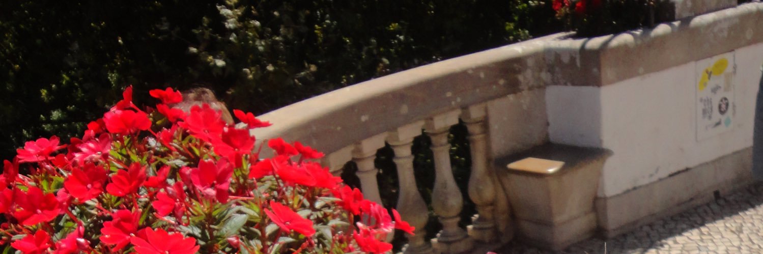 Alxskx's profile banner image