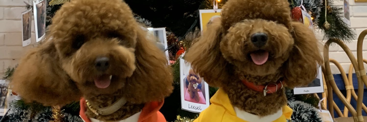 lolaklolo's profile banner image