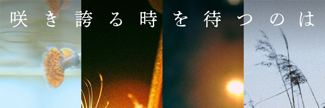 Orie 🍒☁️🐧 || Jpn Album ~ YeSolo 🥳🥳🥳 banner