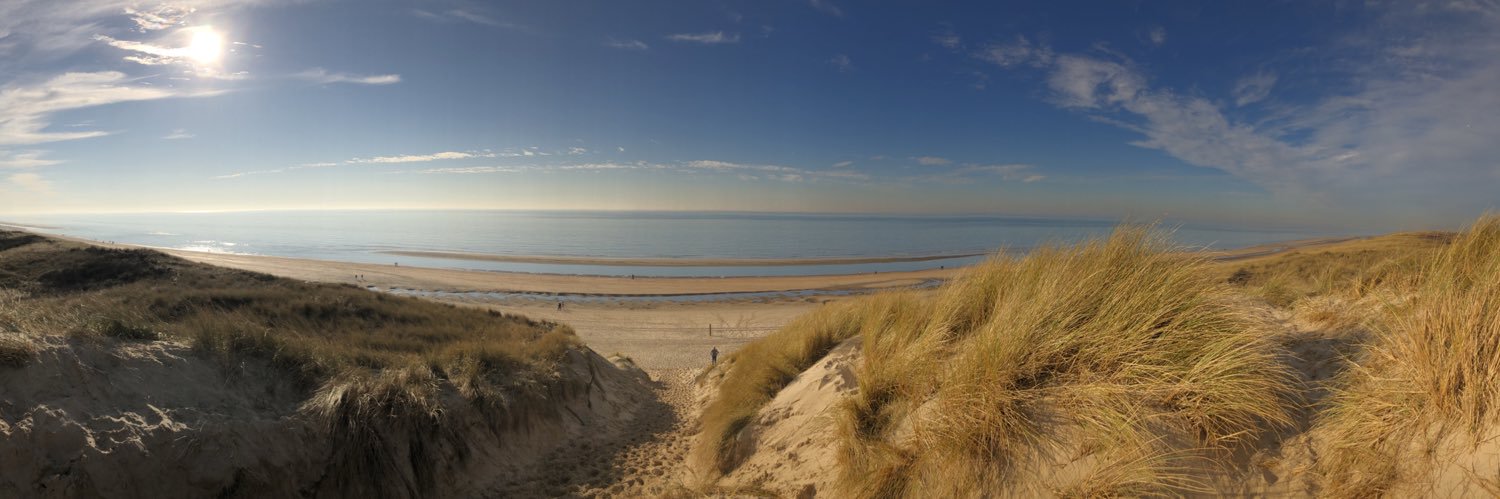Carl Königel banner