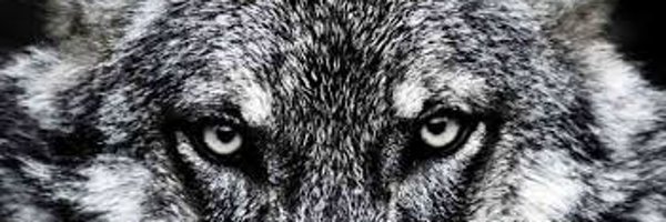 MRValero66 Profile Banner