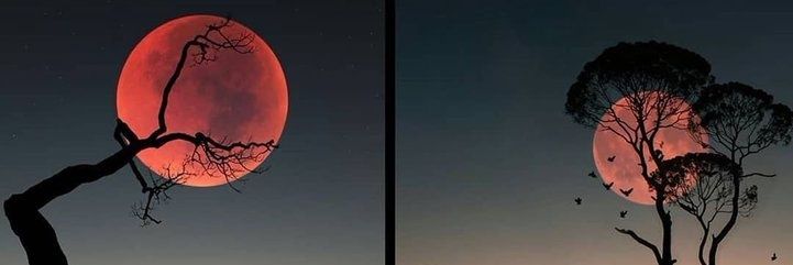 AytrkHalil's profile banner image