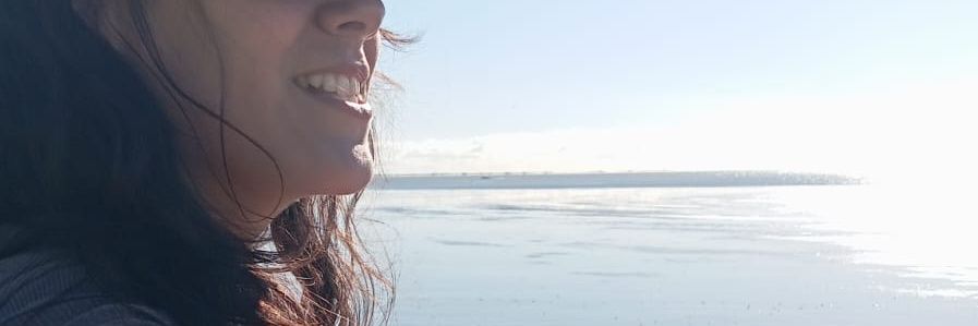 • A N A P A Z • banner