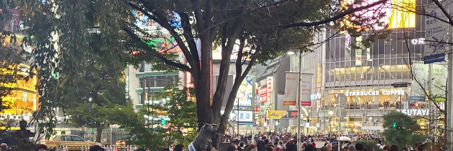 るる@女攻略 banner