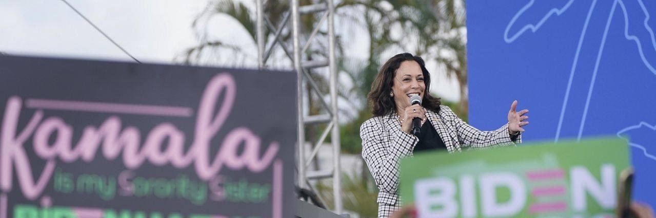 Epsilon Lambda banner