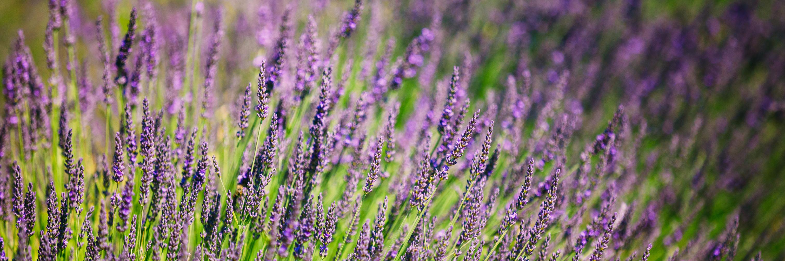 Eaton Acupuncture banner