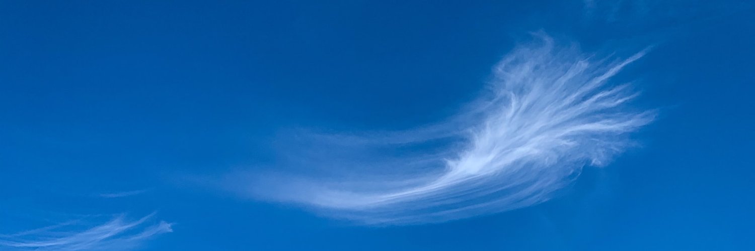 Patricia Shelly banner