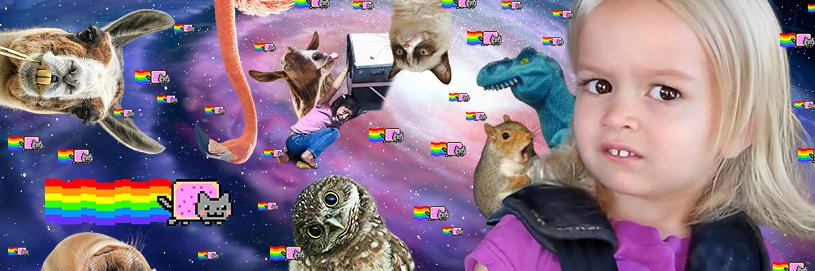 wallisonscheidt's profile banner image