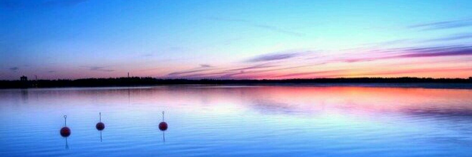 chiaruzzina's profile banner image