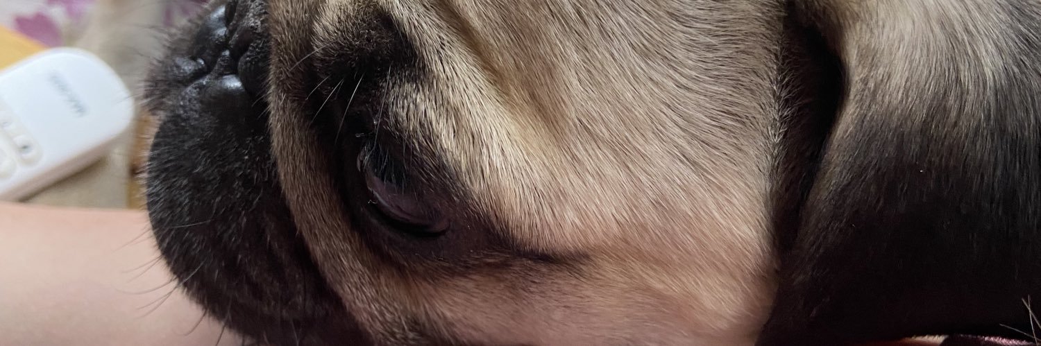 Gabi ✨ banner
