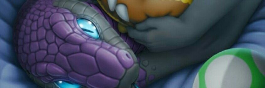 Rayn and Stolas banner