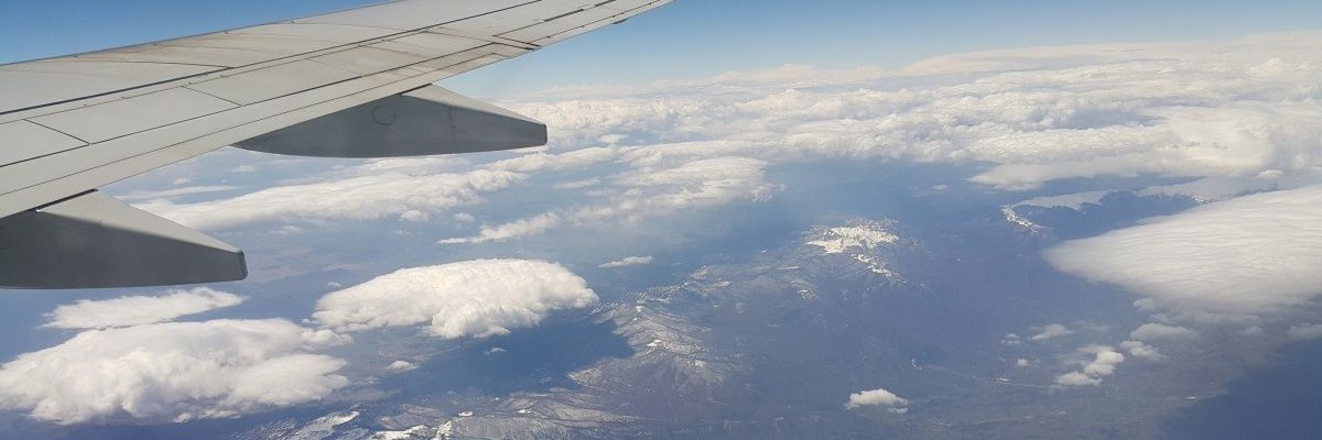 AriGaonn's profile banner image