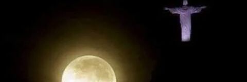 fernandinha_sfd's profile banner image
